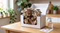 Urban Mushroom Grow Kit | Kitchen Gourmet Harvest